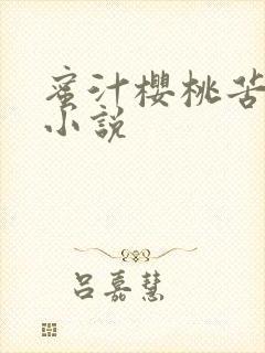 蜜汁樱桃苦咖啡小说封面