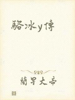 骆冰y传封面