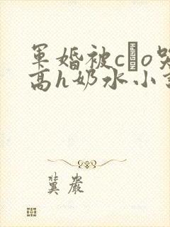 军婚被cαo哭高h奶水小说封面