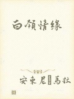 白领情缘封面