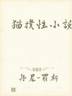 猫扑性小说