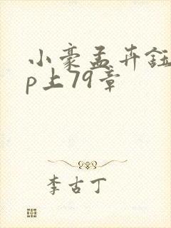 小豪孟卉钰慧三p上79章