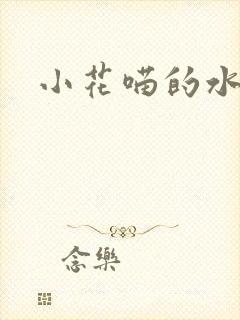 小花喵的水蜜桃封面