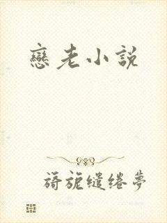 恋老小说