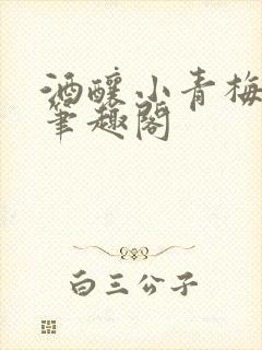 酒酿小青梅po笔趣阁