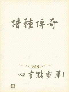 借种传奇封面