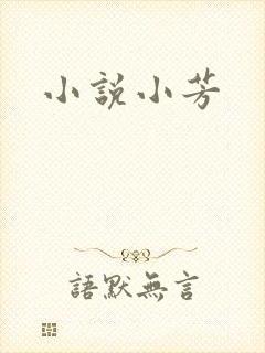 小说小芳