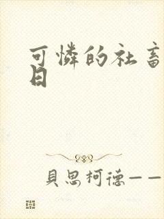 可怜的社畜东度日