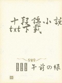 十段锦小说全本txt下载封面