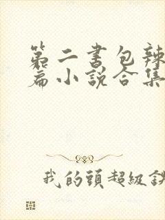 第二书包辣网短篇小说合集