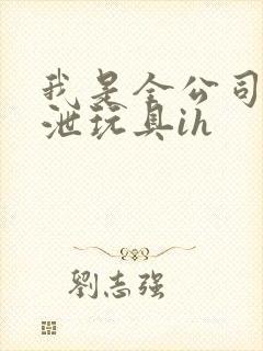 我是全公司的发泄玩具ih