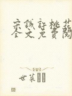 宋钱许桃花小说全文免费阅读封面