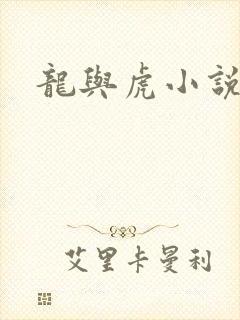 龙与虎小说