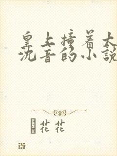 皇上撞着太子妃沈音的小说叫什么