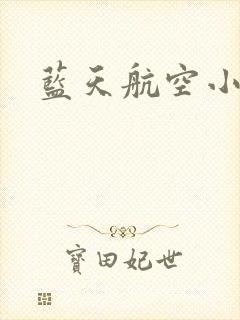 蓝天航空小说
