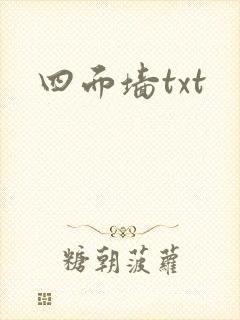 四面墙txt