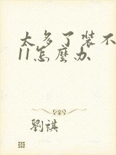 太多了装不下h11怎么办封面