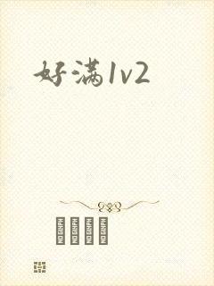 好满1v2