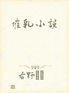催乳小说封面