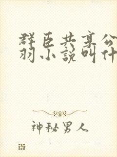 群臣共享公主银羽小说叫什么