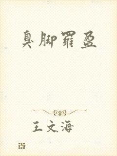 臭脚罗盈封面