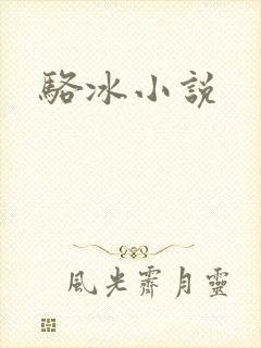 骆冰小说