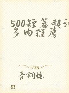 500短篇超污多肉推荐