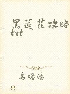 黑莲花攻略手册txt封面