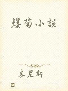 爆菊小说