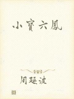 小宝六凤封面
