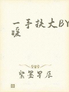 一手扶大BY泱暖封面