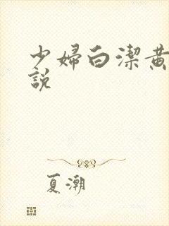 少妇白洁黄色小说