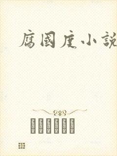 腐国度小说