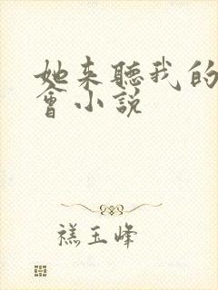 她来听我的演唱会小说