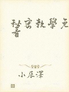 秘密教学免费观看封面