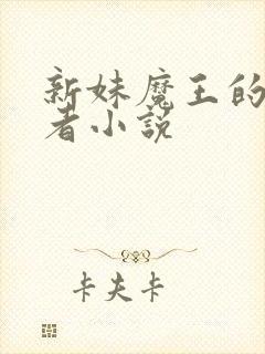 新妹魔王的契约者小说