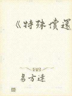 《特殊偿还》封面