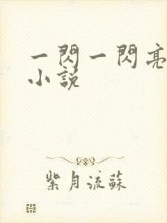 一闪一闪亮星星小说