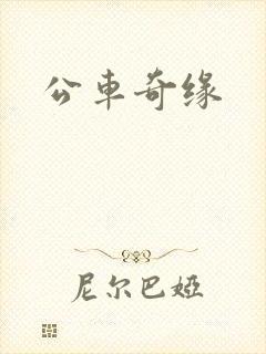 公车奇缘