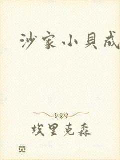 沙家小贝成长记封面