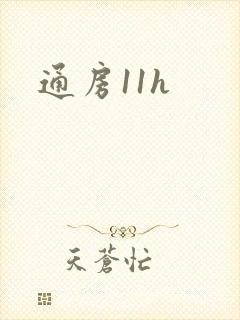 通房11h