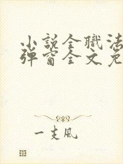 小说全职法师无弹窗全文免费阅读