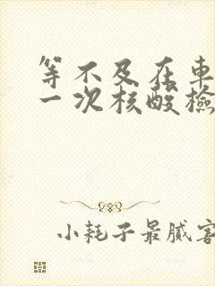 等不及在车里做一次核酸检测