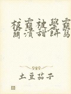 校霸被学霸玩到崩溃甜饼写手