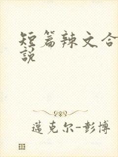 短篇辣文合集小说