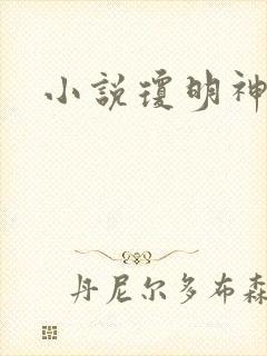 小说琼明神女录