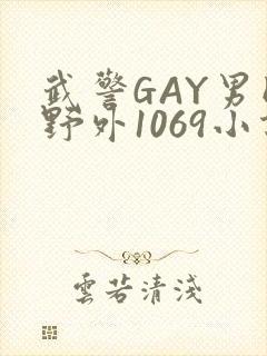 武警GAY男同野外1069小说封面