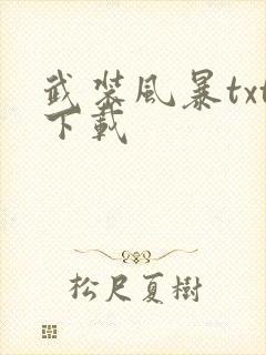 武装风暴txt下载