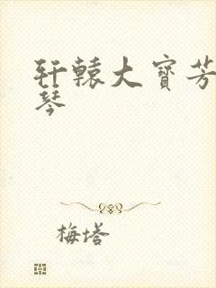 轩辕大宝芳菲雅琴