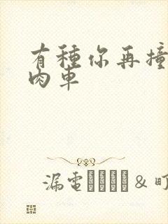 有种你再撞一下肉车